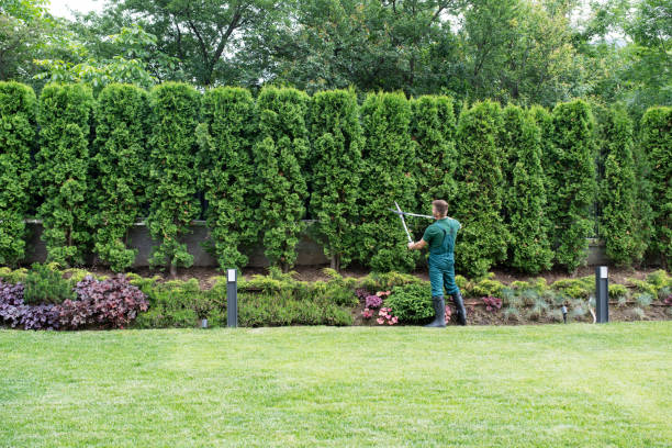 Artificial Turf Installation in Trinidad, CO